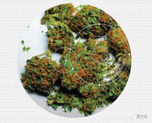 以让机械人正在社会空间中更好地办事人类